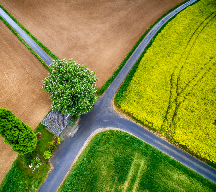 protection de l'environnement